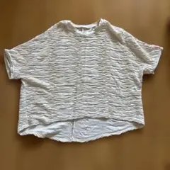 JaVa しわ加工 ホワイト Tシャツ XLサイズ