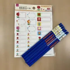 Item thumbnail for item db395a94-6423-4ef7-89b9-6352f26bf5d8