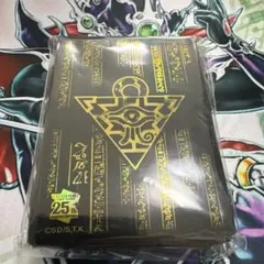 未開封　遊戯王　2024 YCS TEAM スリーブ　100枚入り 未開封状態A】【遊戯王】スリーブ WCS2024 紫 100枚 《未開封