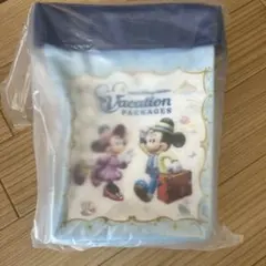 新品 未使用 バケーションパッケージ ポップコーンバケット ディズニー バケパのサムネイル