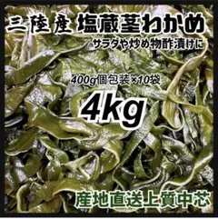 山形県産 イタドリ塩漬け　4kg(1kg×4袋) 山菜　野菜　塩蔵 山形県産 イタドリ塩漬け 4kg(1kg×4袋) 山菜 野菜 塩蔵 - メルカリ
