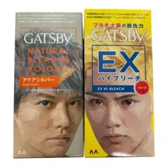 GATSBY ナチュラルブリーチ＆カラー アクアシルバー＋EXハイブリーチセットのサムネイル