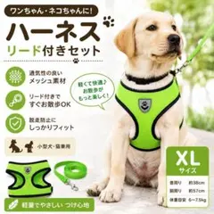 ハーネス リードセット XLサイズ メッシュ 軽量 脱走防止 中型犬 グリーンのサムネイル