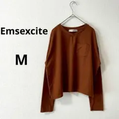 エムズエキサイト ▶ 長袖カットソー M 茶 Vネック 無地 春秋 カジュアル