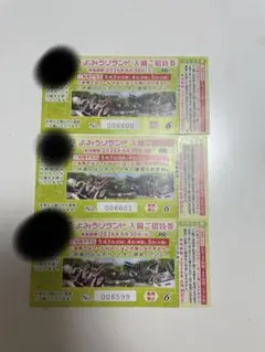 よみうりランド 入園ご招待券 3枚セットのサムネイル