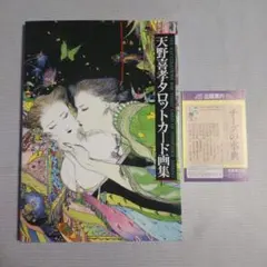 2025年最新】天野喜孝 画集の人気アイテム - メルカリ