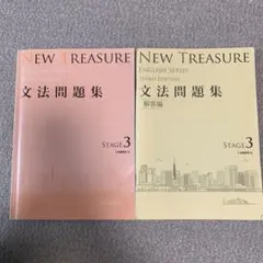 NEW TREASURE 文法問題集 第三版 ステージ3