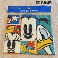 【レトロ】東京ディズニーリゾート　ミニタオル3枚セット　ミッキー　ミニー　ドナ
