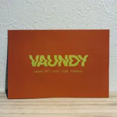 VAUNDY ドームツアー チラシ フライヤー 4枚セット - メルカリ