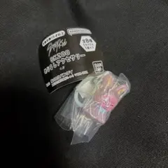 Straykids SKZOO スキズ ガチャ めじるしアクセサリー トェッキ