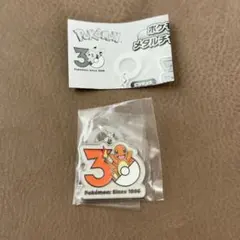 ヒトカゲ 30周年 メタルチャームマスコット 新品 ポケモン
