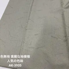 色無地 素敵な地模様 人気の色味 一つ紋 正絹 AK-3935