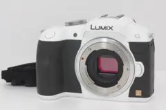 2026年最新】Lumix DMC-G6の人気アイテム - メルカリ