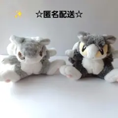 希少 わちふぃーるど ダヤン マーシィ 2枚 まとめ売り - メルカリ