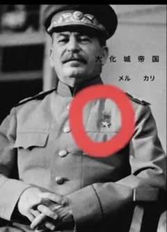 ソ連 最高位勲章 ソビエト連邦英雄章 勲章 美品 ソ連勲章 鉄十字 CCCP