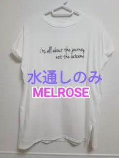 【水通しのみ】メルローズ Tシャツ