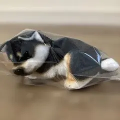 リアルアニマル 子犬うつぶせマスコットBC 黒柴