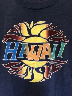 ヴィンテージ HAWAII Tシャツ サーフ キムタク ハワイ 菅田将暉 レア