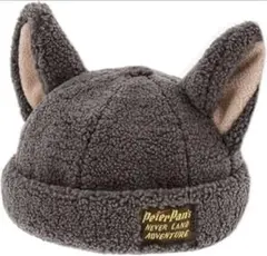 ディズニーリゾート　ロストキッズ　アライグマ　ツインズ