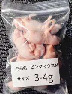 2025年最新】冷凍マウスの人気アイテム - メルカリ