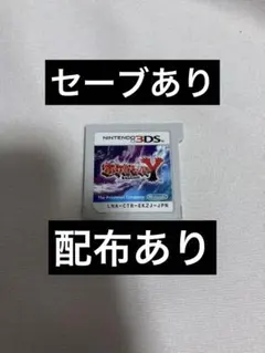 3DS ポケットモンスター Y
