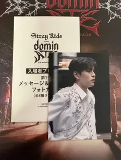Straykids スキズ　dominATE 映画 入場特典 スンミン