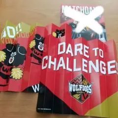 Item thumbnail for item 4e80864b-2227-4d87-b551-615b31deb8e7