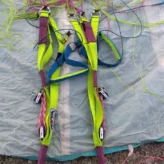 Item thumbnail for item 6e7e8853-4471-48b9-b0ef-e5325b19e4c6