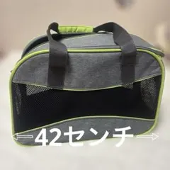 Item thumbnail for item 016ce466-569b-4426-a513-358571c4a5bf