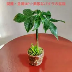 K-34【自己紹介お読みください】様 リクエスト 3点 まとめ商品