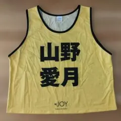 ≒JOY 初期ビブス　大西葵　　 ニアジョイ公式ビブス2023 ニアジョイ 大西葵 初期ビブス フリーサイズ 公式ビブス 大西葵 ≒JOY