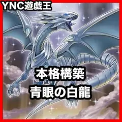 遊戯王 青眼 原石 デッキ 本格構築 メイン40枚+EX15枚 - メルカリ