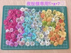 夜桜様専用ʕ•ᴥ•ʔ♡ マトリカリア