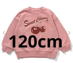 BREEZE カラバリグラフィックトレーナー 120cm ピンク