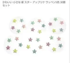 かわいい 小さな 星 スター アップリケ ワッペン5色 30個