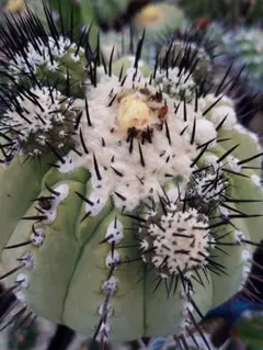 sinnno様 リクエスト 4点 まとめ商品