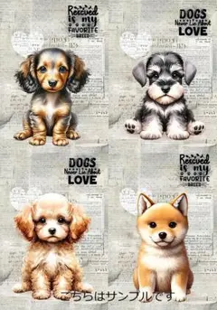 2025年最新】トイプードルパネル生地の人気アイテム - メルカリ