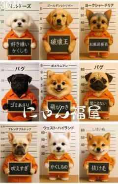 3049 にゃん福屋　パネル生地　犬の悪行九ヶ条
