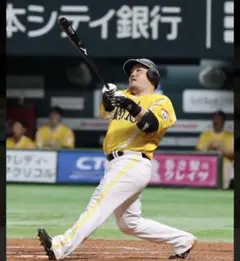 日本一王座奪還へ死角なし！！