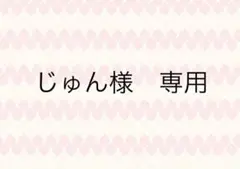 じゅん様　専用　3月⑧