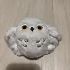 ヘドウィグ タリーズ