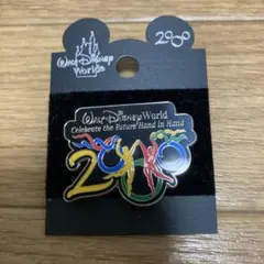 ディズニーワールド Disney 2000年記念ピンバッジ
