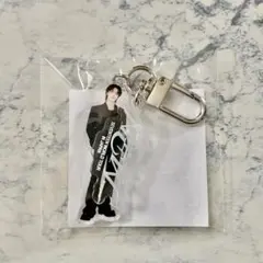 ディノ　DINO seventeen NEW カプセルトイ　ガチャガチャ　セブチ