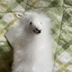 ベイビーアルパカ ALPACA アルパカ ぬいぐるみ ホワイト ペルーのサムネイル