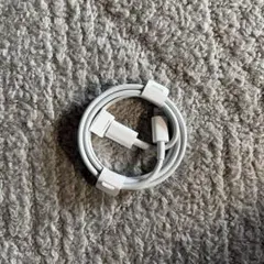 Apple純正 USB-C Lightningケーブル