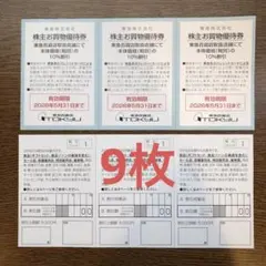 東急株式会社 株主優待券 10%割引　9枚