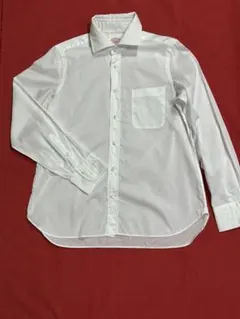 希少✨タナローン✨白無地✨試着のみ