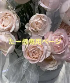 たー様　スカート　black サイズフリー