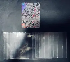 モンキー・Ｄ・ガープ ＳＰ ＳＲ＆中古スリーブ