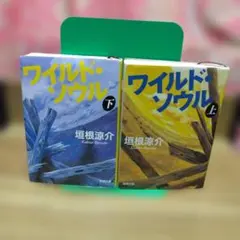 ワイルド・ソウル 上下巻セット、垣根涼介、新潮文庫、平成22年、２刷